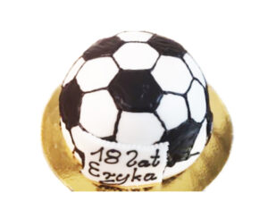 Tort TE 26
