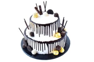 Tort TE 31