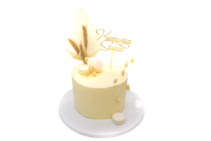 TORT TK11